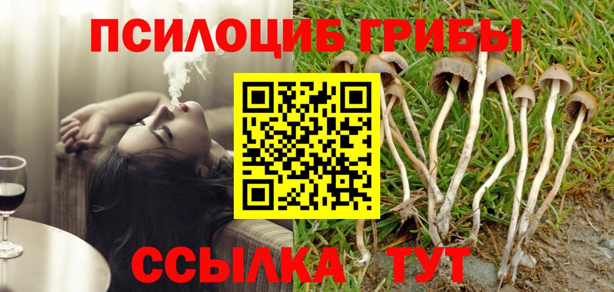 Галлюциногенные грибы Magic Shrooms Жигулёвск