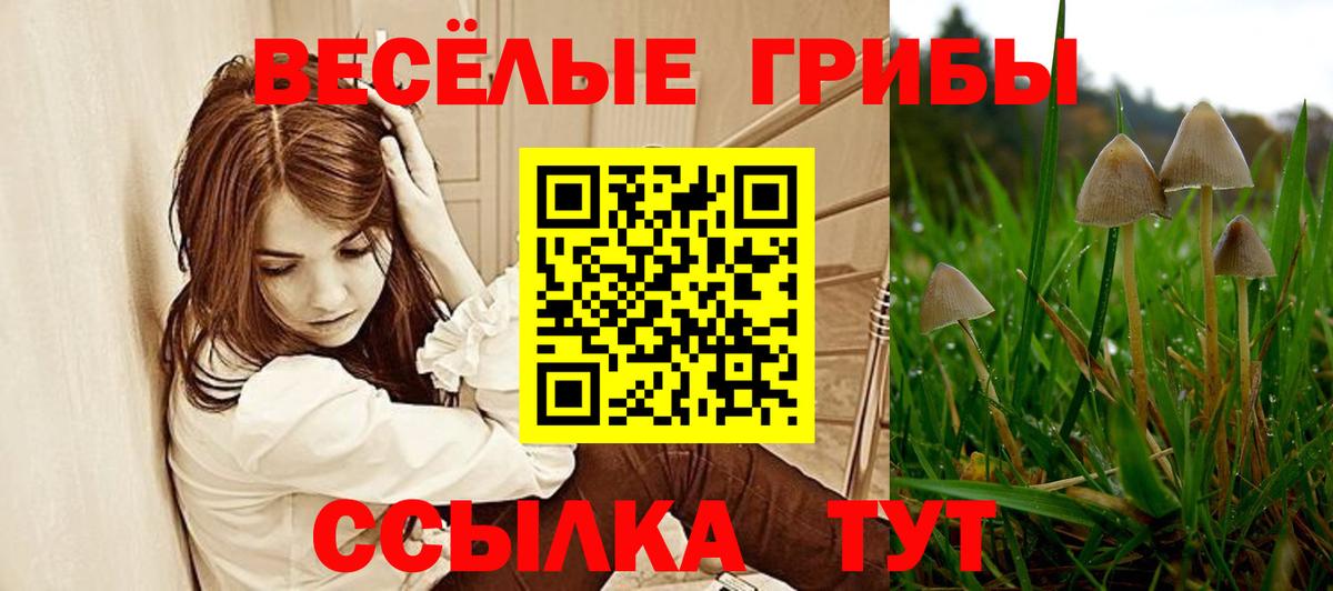Жигулёвск  Галлюциногенные грибы Psilocybe  что такое   Галлюциногенные грибы мицелий  Вход с VPN 