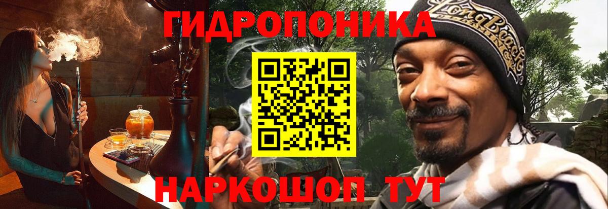 Каннабис план  Каннабис ГИДРОПОН  Жигулёвск  Вход с VPN 
